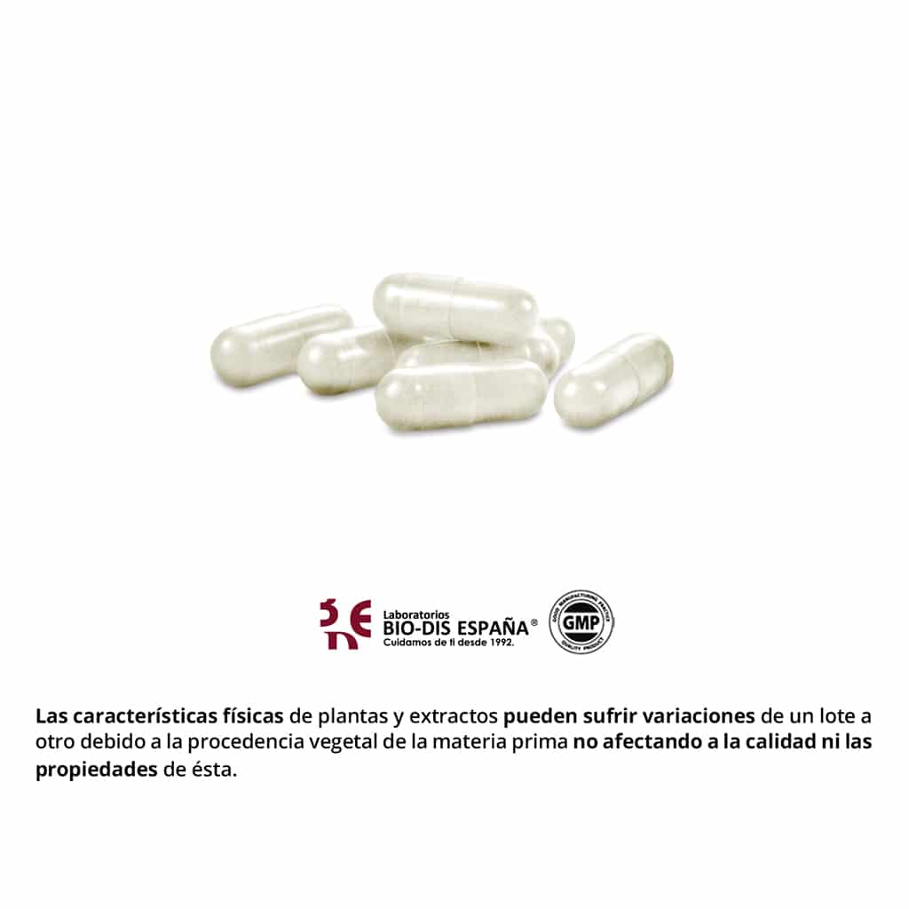 NE2411-Colágeno-marino-mag-600-mg-cápsula