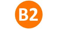 vintamina-b2