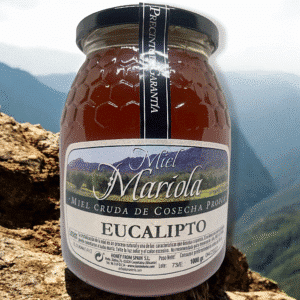 Miel Eucalipto 1Kg Sierra Mariola